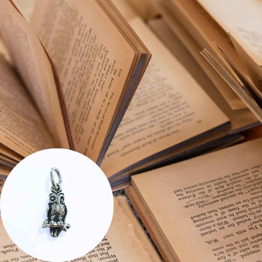 Svendegave Til Den Nyuddannede - Kæde Med Ugle Vedhæng I Sølv